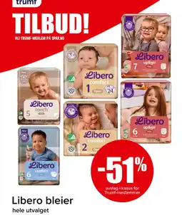 Spar LIBERO Bleier tilbud