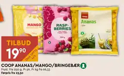 Coop Mega COOP ANANAS/MANGO/BRINGEBÆR tilbud