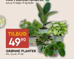 Coop Mega GRØNNE PLANTER tilbud