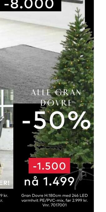 Skeidar Gran Dovre tilbud