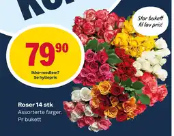 Matkroken Roser 14 stk tilbud