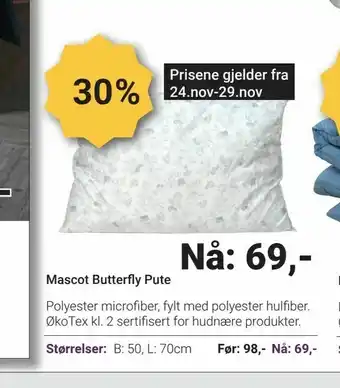 Mascot Butterfly Pute