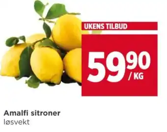 Meny Amalfi sitroner tilbud