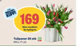 Coop Mega Tulipaner 20 stk tilbud