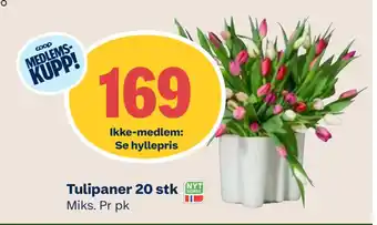 Coop Mega Tulipaner 20 stk tilbud