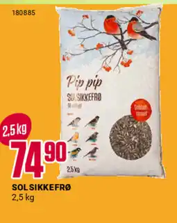 Europris Solsikkefrø tilbud