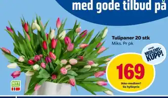 Coop Obs Tulipaner 20 stk Miks. Pr pk tilbud