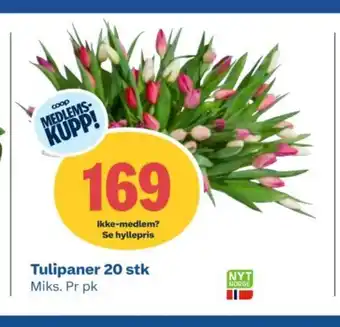 Coop Obs Tulipaner 20 stk Miks. Pr pk tilbud