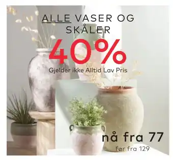 Skeidar ALLE VASER OG SKÅLER tilbud