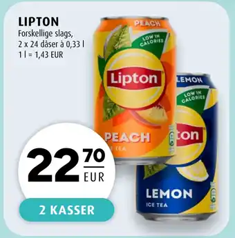 Scandinavian Park LIPTON tilbud