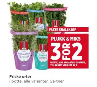 Meny GARTNER Friske urter tilbud