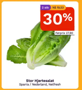 Oda Stor Hjertesalat tilbud