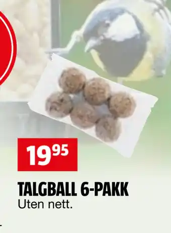 Bauhaus TALGBALL 6-PAKK tilbud