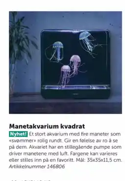 Lekolar Manetakvarium kvadrat tilbud