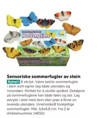 Lekolar Sensoriske sommerfugler av stein Nyhet! 8 stk/pk. Vakre taktile sommerfugler tilbud