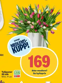 Coop Prix Tulipaner 20 stk tilbud