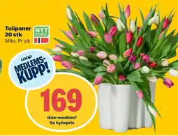 Coop Prix Tulipaner 20 stk tilbud