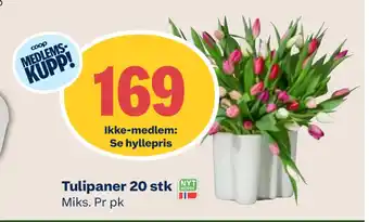 Coop Mega Tulipaner 20 stk tilbud