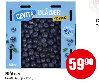 Spar Blåbær tilbud