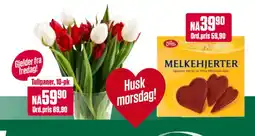 Europris Tulipaner, 10-pk tilbud