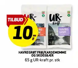 Bunnpris HAVREGRØT FRØ/KARDEMOMME OG SKOGSBÆR tilbud