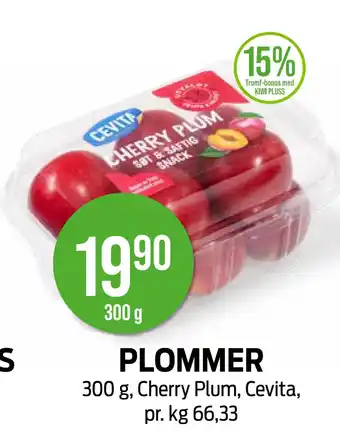 Kiwi PLOMMER tilbud