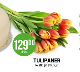 Kiwi TULIPANER tilbud