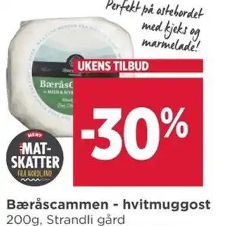 Meny Bæråscammen - hvitmuggost tilbud