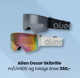 Sport Outlet Alien Oscar Skibrille tilbud