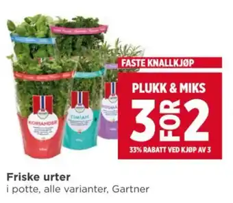 Meny Friske urter tilbud