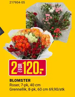 Europris BLOMSTER tilbud