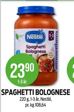 SPAGHETTI BOLOGNESE