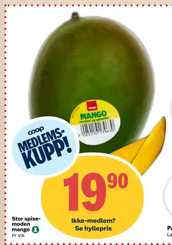 Matkroken Stor spisemoden mango tilbud