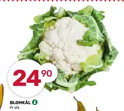 Matkroken BLOMKÅL tilbud