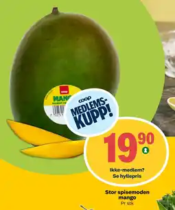 Coop Prix Stor spisemoden mango tilbud