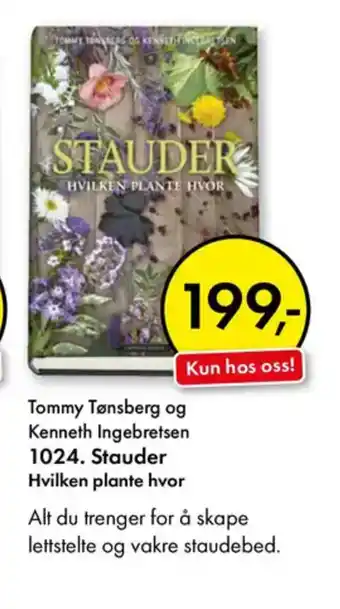 Norli Tommy Tønsberg og Kenneth Ingebretsen 1024. Stauder Hvilken plante hvor tilbud