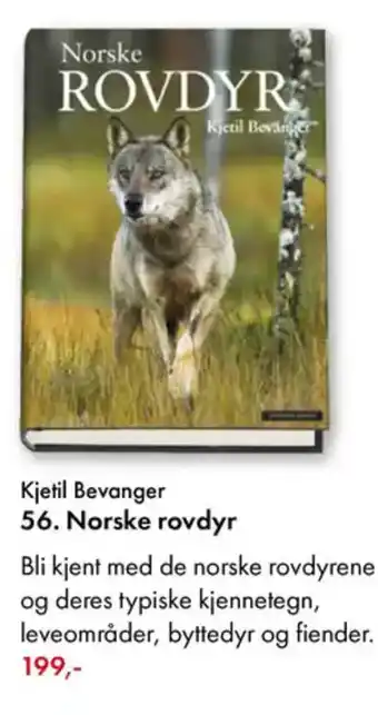 Norli Kjetil Bevanger 56. Norske rovdyr tilbud