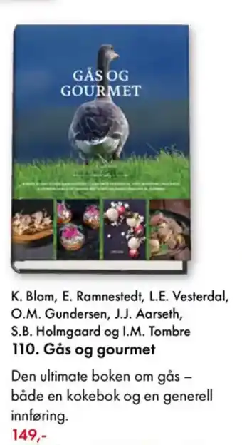 Norli K. Blom, E. Ramnestedt, L.E. Vesterdal, O.M. Gundersen, J.J. Aarseth, S.B. Holmgaard og I.M. Tombre 110. Gås og gourmet tilbud