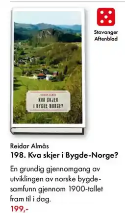 Norli Reidar Almås 198. Kva skjer i Bygde-Norge? tilbud