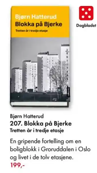 Norli Bjørn Hatterud 207. Blokka på Bjerke Tretten år i tredje etasje tilbud