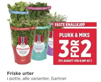 Meny Friske urter tilbud