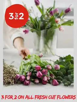 Plantasjen 3 FOR 2 ON ALL FRESH CUT FLOWERS tilbud