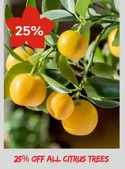 Plantasjen OFF ALL CITRUS TREES tilbud