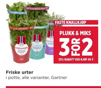 Meny Friske urter tilbud