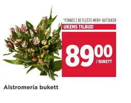 Meny Alstromeria bukett tilbud