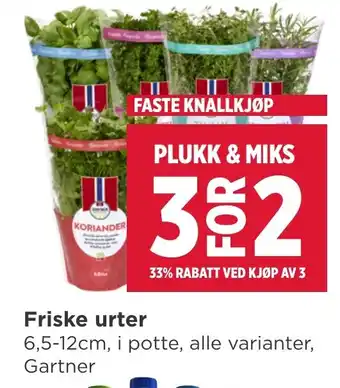 Meny Friske urter tilbud