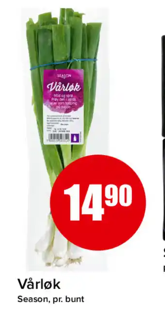 Spar Vårløk Season, pr. bunt tilbud