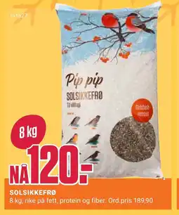 Europris Solsikkefrø tilbud