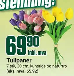 Europris Tulipaner tilbud