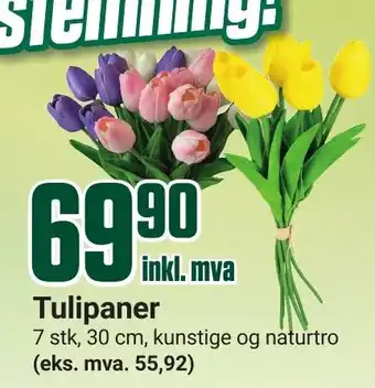 Europris Tulipaner tilbud